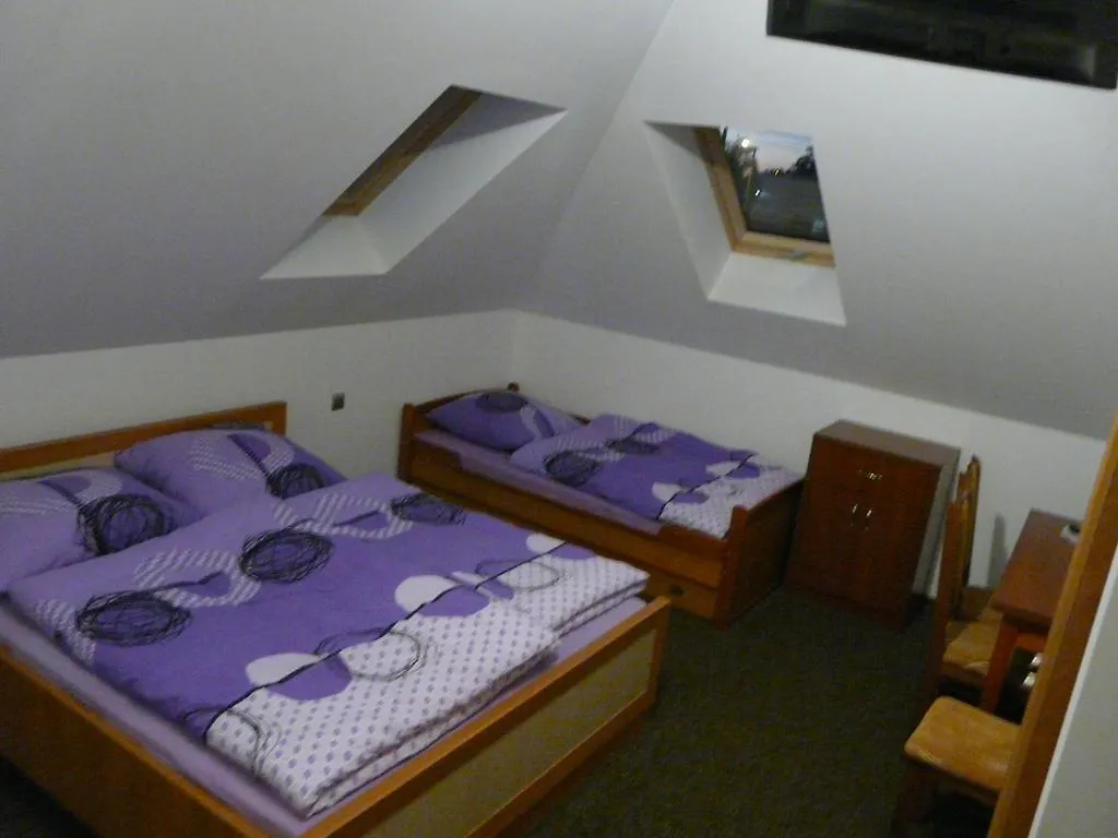 Homestay Noclegi Darex Guest House Pyrzowice