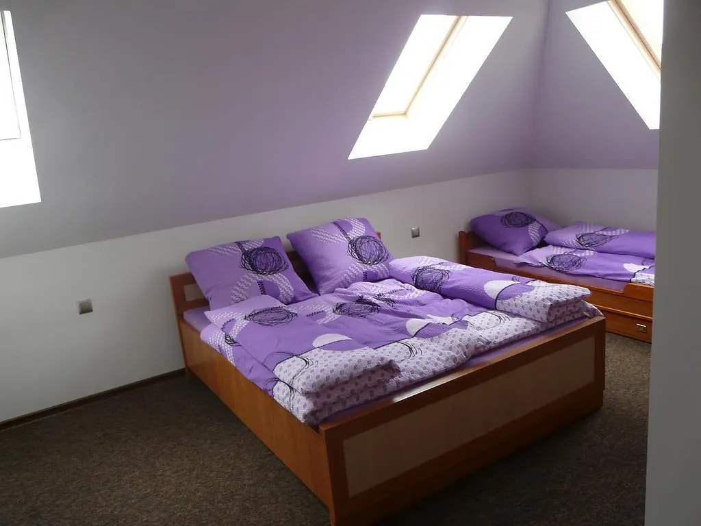 Noclegi Darex Guest House Pyrzowice 0*,